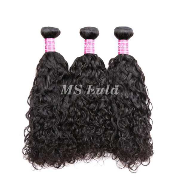 Virgin Water Wave Human Hair Bundles - Image 4